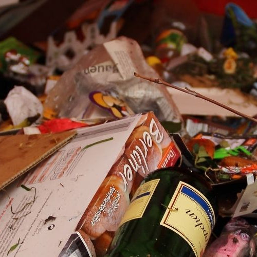 Why Waste Food?