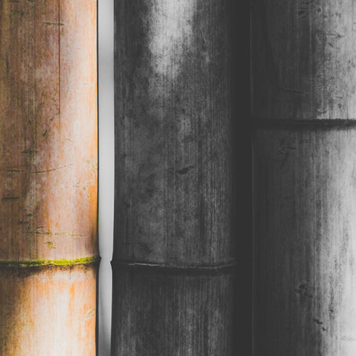 Is It Good To Use Bamboo Products?