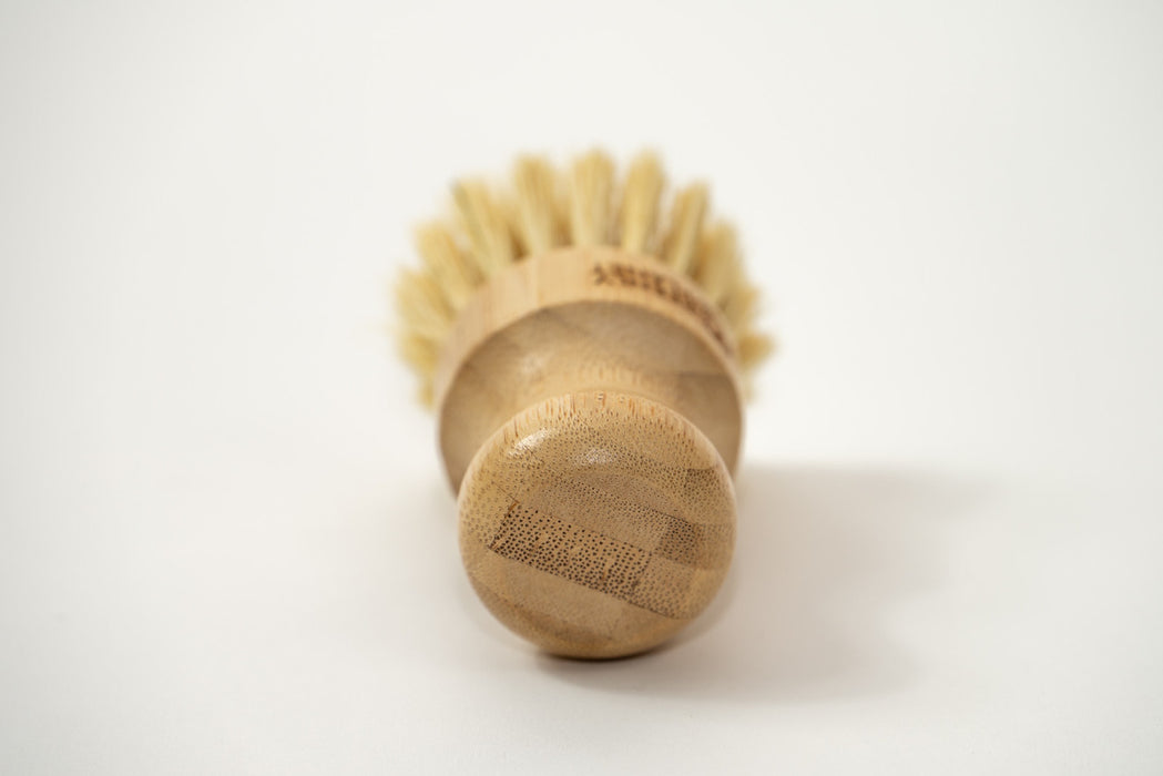 Biodegradable Dish Brush